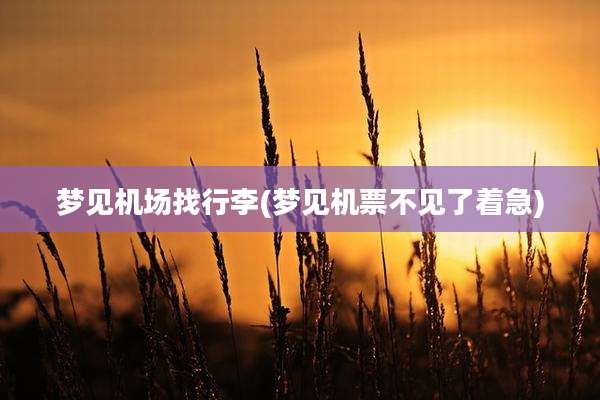 梦见机场找行李(梦见机票不见了着急)