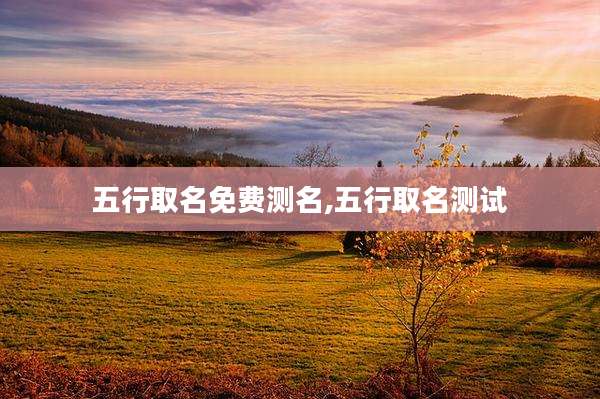 五行取名免费测名,五行取名测试