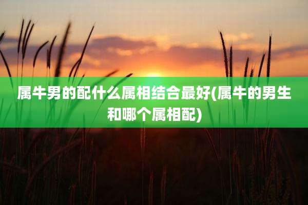 属牛男的配什么属相结合最好(属牛的男生和哪个属相配)