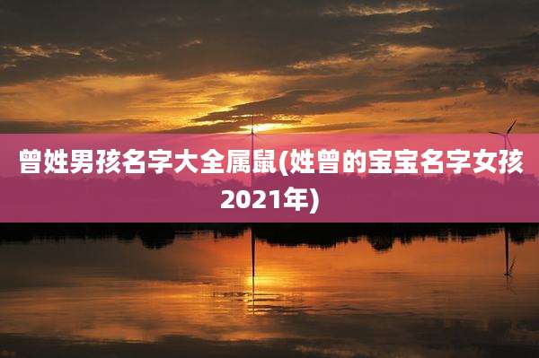 曾姓男孩名字大全属鼠(姓曾的宝宝名字女孩2021年)