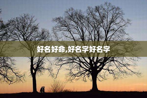 好名好命,好名字好名字