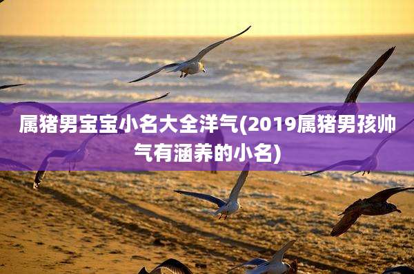 属猪男宝宝小名大全洋气(2019属猪男孩帅气有涵养的小名)
