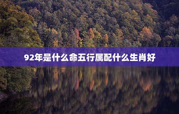 92年是什么命五行属配什么生肖好