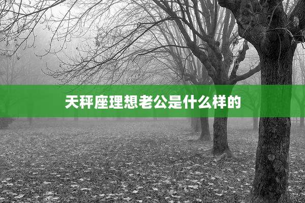天秤座理想老公是什么样的
