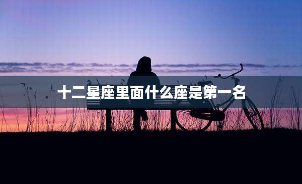 十二星座里面什么座是第一名