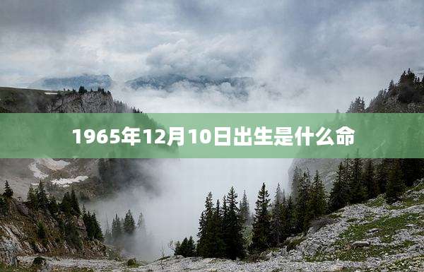 1965年12月10日出生是什么命