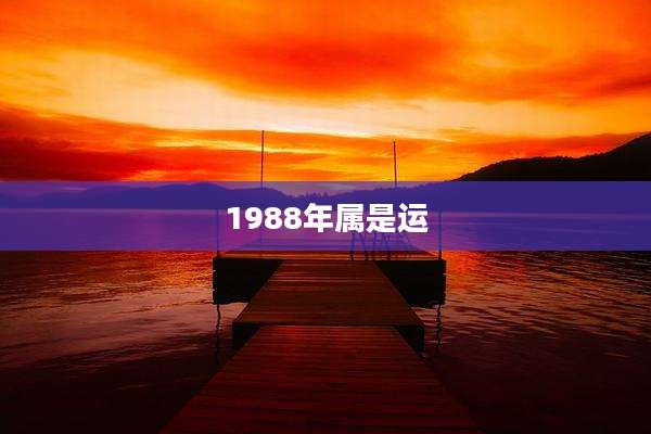 1988年属是运