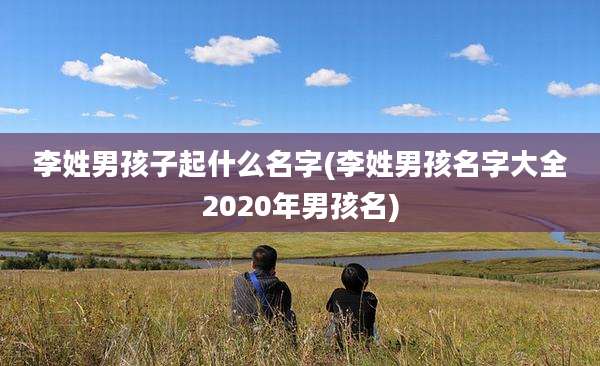 李姓男孩子起什么名字(李姓男孩名字大全2020年男孩名)