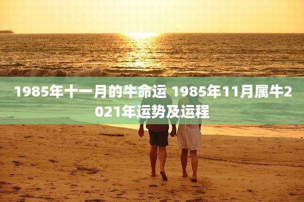 1985年十一月的牛命运 1985年11月属牛2021年运势及运程
