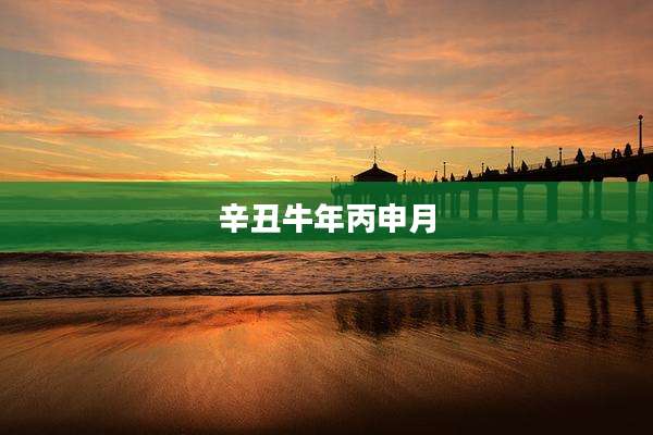 辛丑牛年丙申月