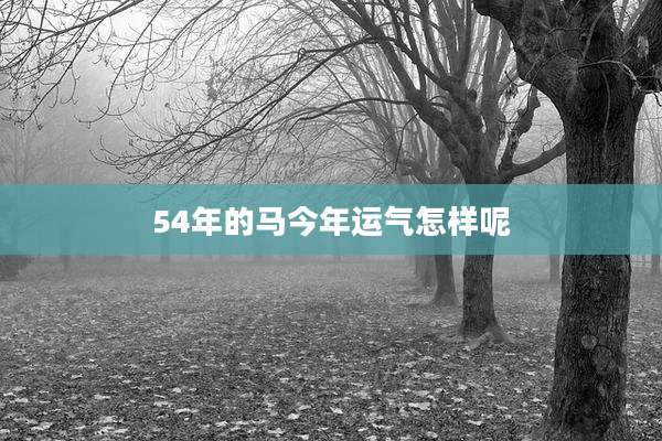 54年的马今年运气怎样呢