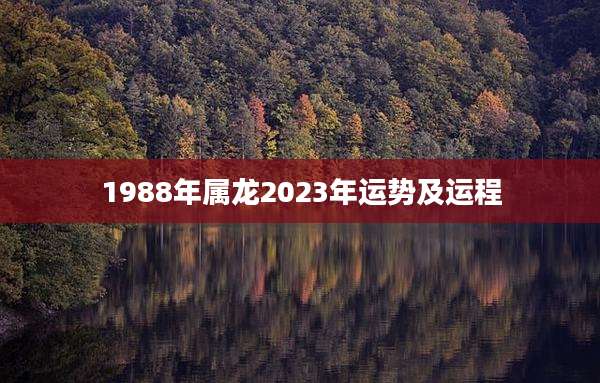 1988年属龙2023年运势及运程
