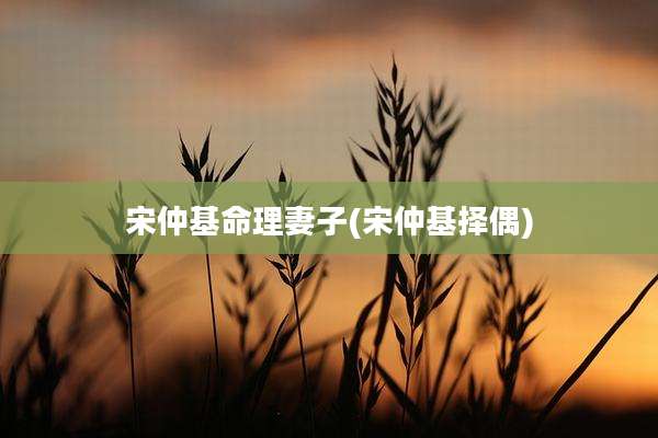 宋仲基命理妻子(宋仲基择偶)