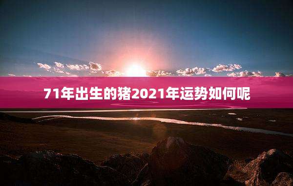 71年出生的猪2021年运势如何呢