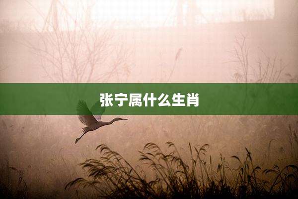 张宁属什么生肖