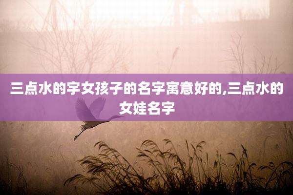三点水的字女孩子的名字寓意好的,三点水的女娃名字