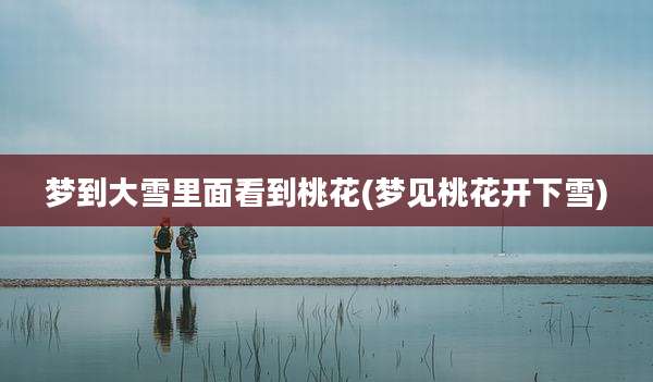 梦到大雪里面看到桃花(梦见桃花开下雪)
