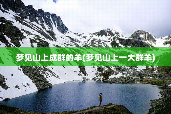 梦见山上成群的羊(梦见山上一大群羊)