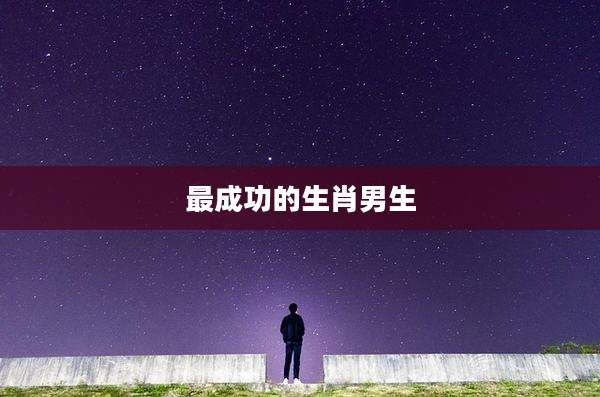 最成功的生肖男生