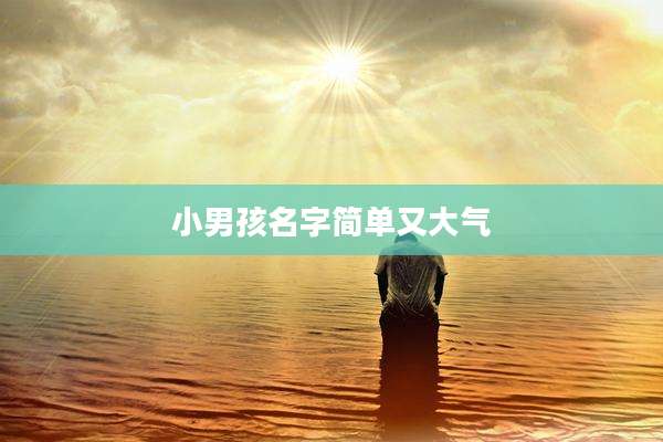 小男孩名字简单又大气