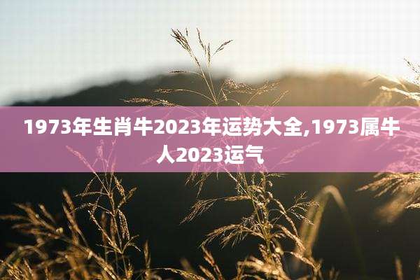 1973年生肖牛2023年运势大全,1973属牛人2023运气