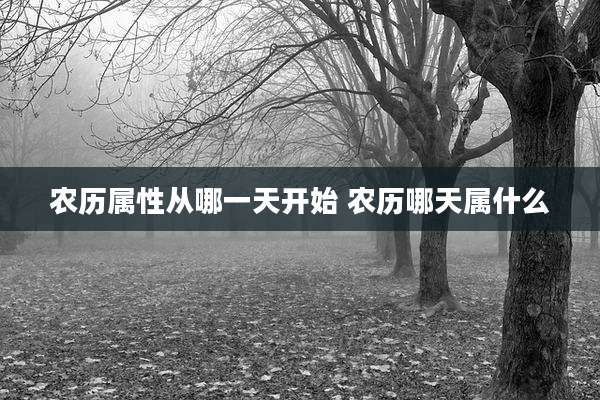 农历属性从哪一天开始 农历哪天属什么