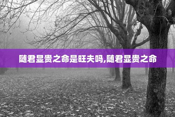 随君显贵之命是旺夫吗,随君显贵之命