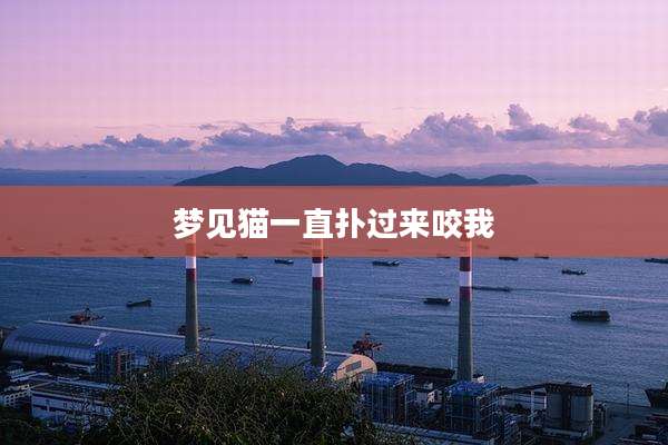 梦见猫一直扑过来咬我