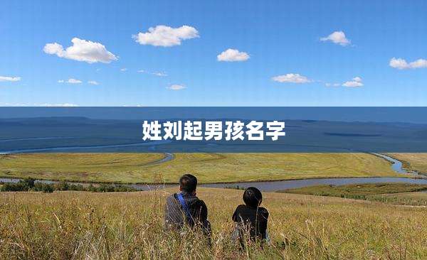 姓刘起男孩名字
