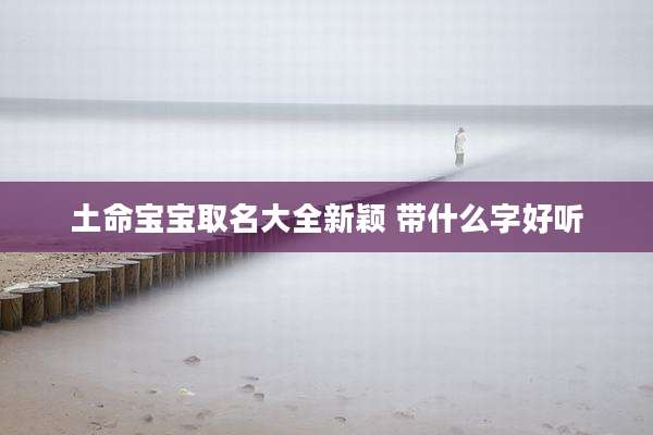 土命宝宝取名大全新颖 带什么字好听