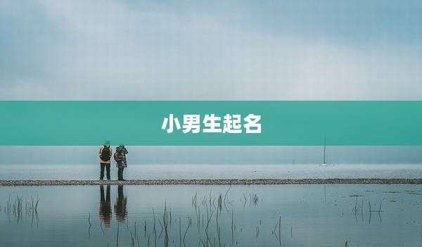 小男生起名