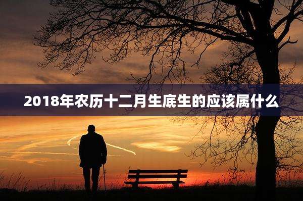 2018年农历十二月生底生的应该属什么