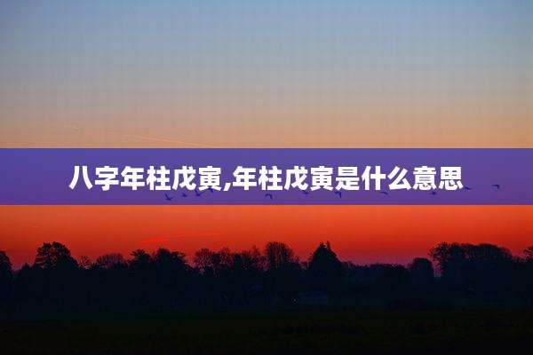 八字年柱戊寅,年柱戊寅是什么意思
