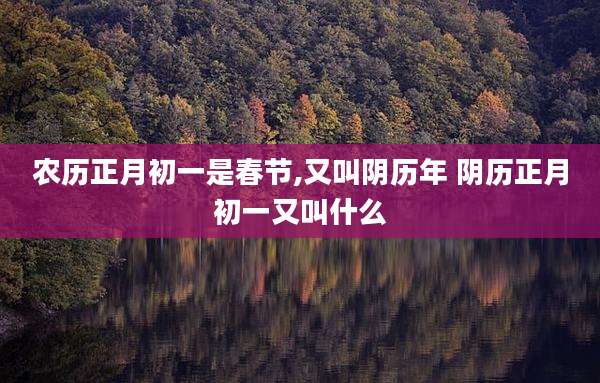 农历正月初一是春节,又叫阴历年 阴历正月初一又叫什么