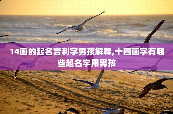 14画的起名吉利字男孩解释,十四画字有哪些起名字用男孩