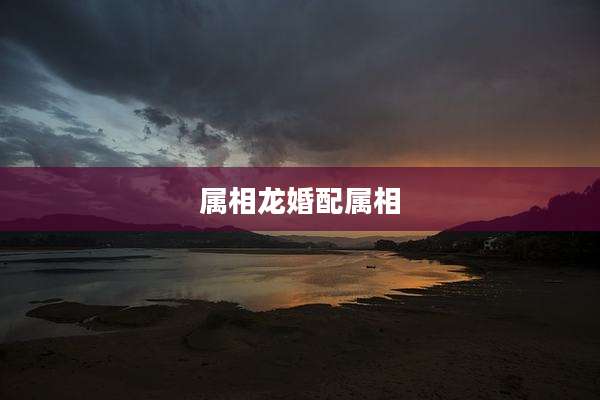 属相龙婚配属相