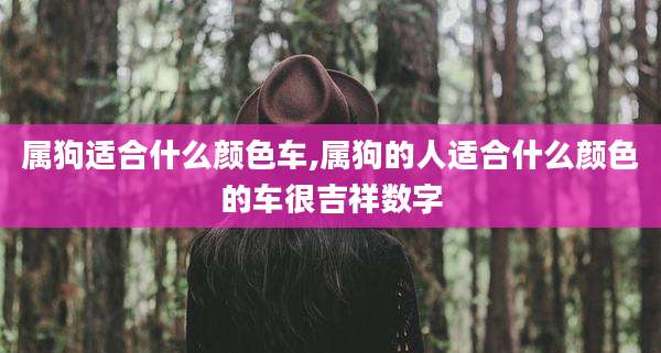 属狗适合什么颜色车,属狗的人适合什么颜色的车很吉祥数字