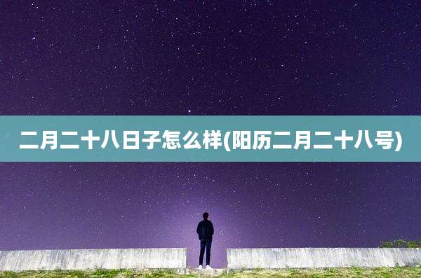 二月二十八日子怎么样(阳历二月二十八号)