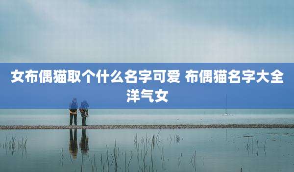 女布偶猫取个什么名字可爱 布偶猫名字大全洋气女