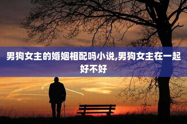 男狗女主的婚姻相配吗小说,男狗女主在一起好不好