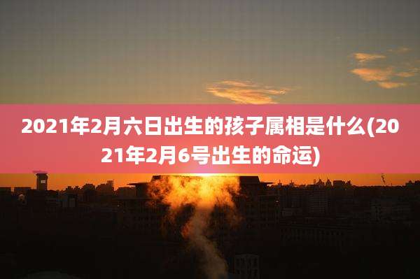 2021年2月六日出生的孩子属相是什么(2021年2月6号出生的命运)