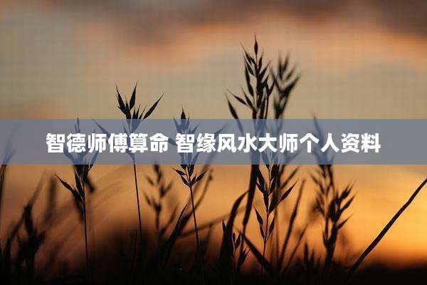 智德师傅算命 智缘风水大师个人资料