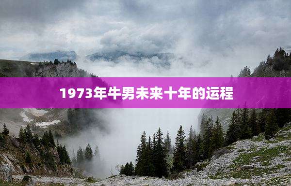 1973年牛男未来十年的运程