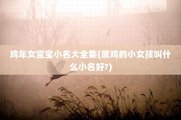 鸡年女宝宝小名大全集(属鸡的小女孩叫什么小名好?)