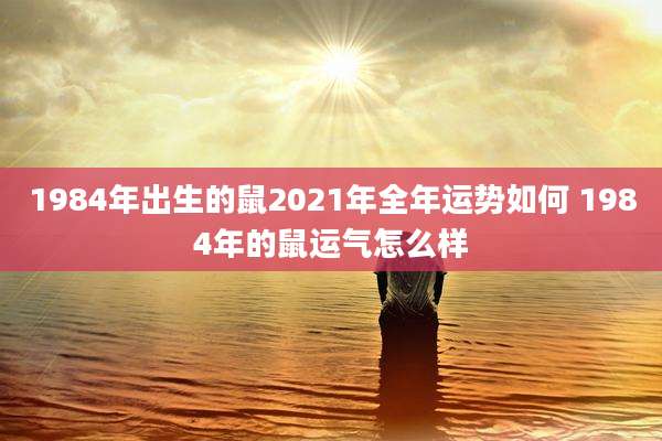 1984年出生的鼠2021年全年运势如何 1984年的鼠运气怎么样