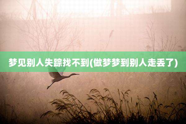 梦见别人失踪找不到(做梦梦到别人走丢了)