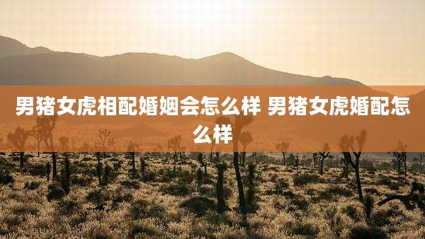 男猪女虎相配婚姻会怎么样 男猪女虎婚配怎么样