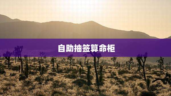 自助抽签算命柜