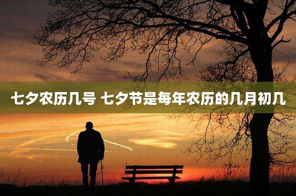七夕农历几号 七夕节是每年农历的几月初几