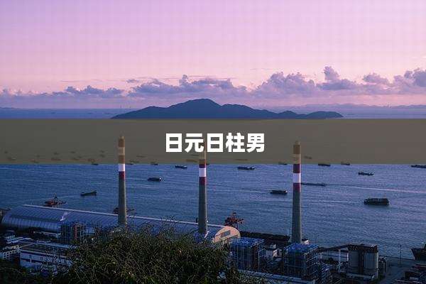 日元日柱男